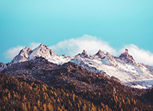 九游官网-乐鱼体育手机版下载：让热爱体育的你随时与精彩同行