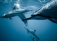 九游官网-乐鱼体育手机版下载：让热爱体育的你随时与精彩同行